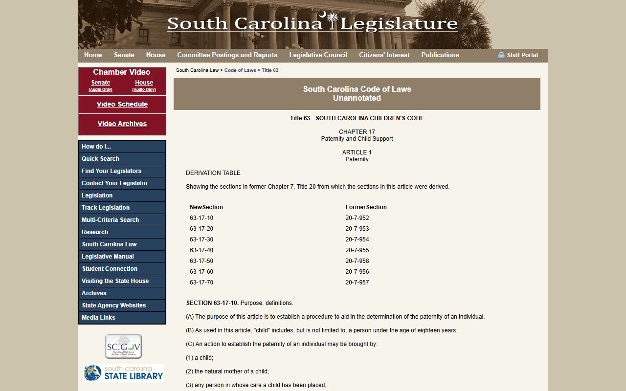South Carolina Code Title 63 page showing child custody statutes for family court cases